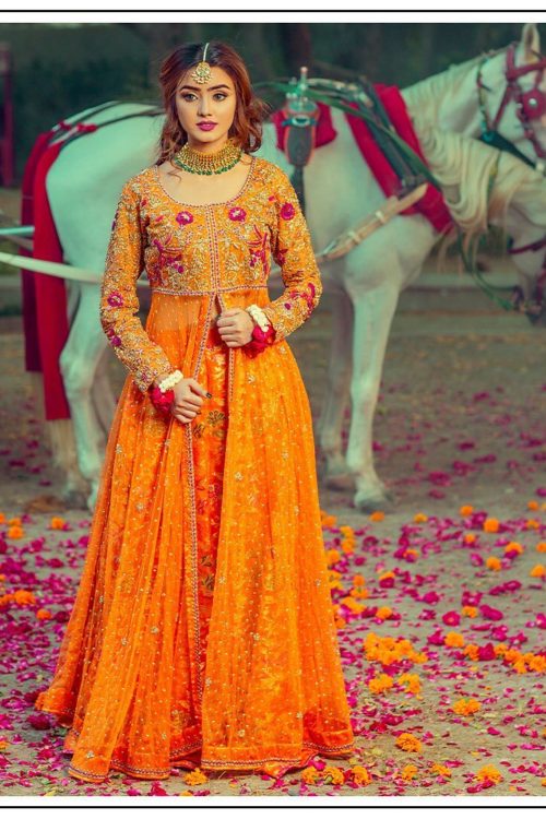 Love Jamawar Net Dress