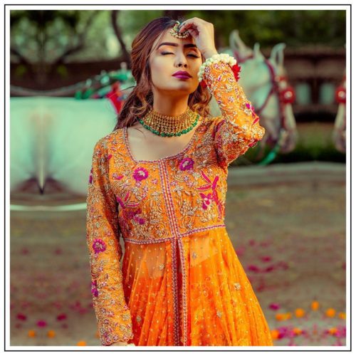 Love Jamawar Net Dress